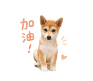 839372123