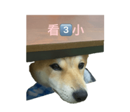839372134