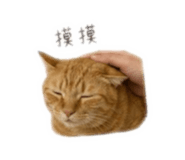 839372235