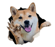 839372353