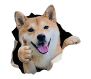 839372355