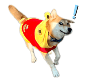 839372360