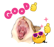 839372448