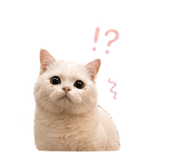 839372459