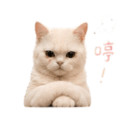 839372463