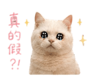 839372465