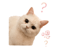 839372466