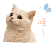 839372477