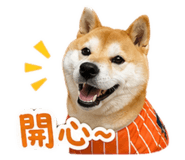 839373394