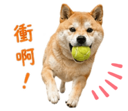 839373405