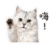 839373580