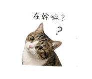 839373727