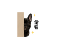 839374203