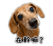 839374271