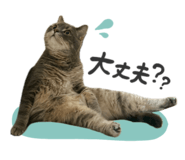 839380709