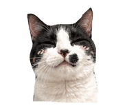 839381348