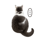 839382506