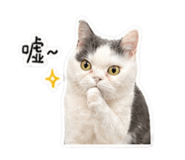 839382508