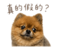 839382621