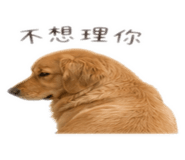 839382757