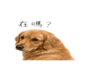 839382767