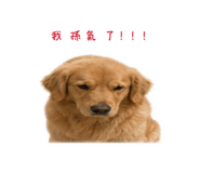 839382768