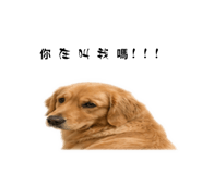 839382769