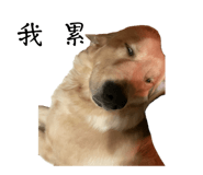 839382775