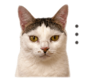839382816