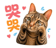 839383694