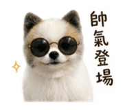 839383907