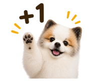 839383916
