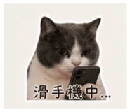 839384111