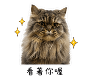 839384184