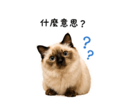 839384426