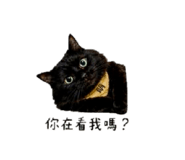 839384518