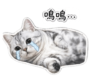 839384687