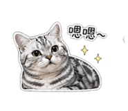 839384697