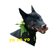 839384755