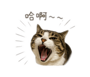 839385342