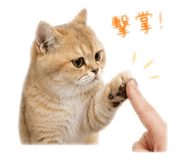 839385356