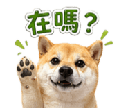 839385940