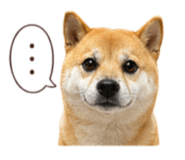 839385943