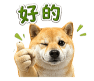 839385949