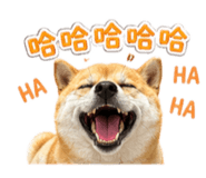 839385952