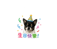 839386054