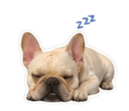 839386309