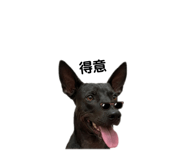 839387288