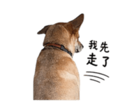 839388159