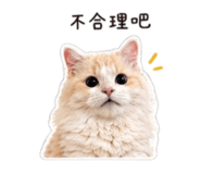 839388233